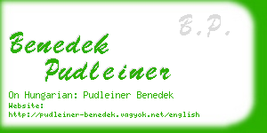 benedek pudleiner business card